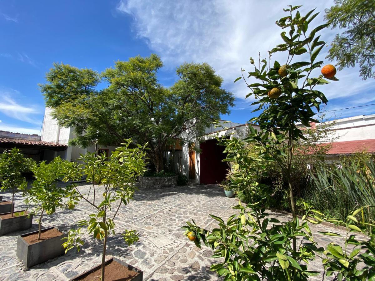 Posada Colibri - Hotel & Spa 圣胡安特奥蒂瓦坎 外观 照片